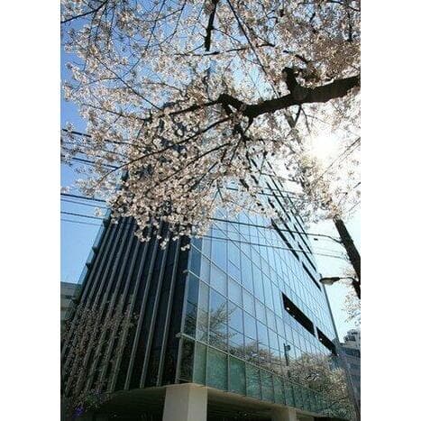 桜ヒルズ九段北